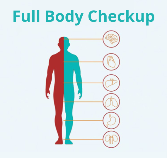 Full Body Checkup